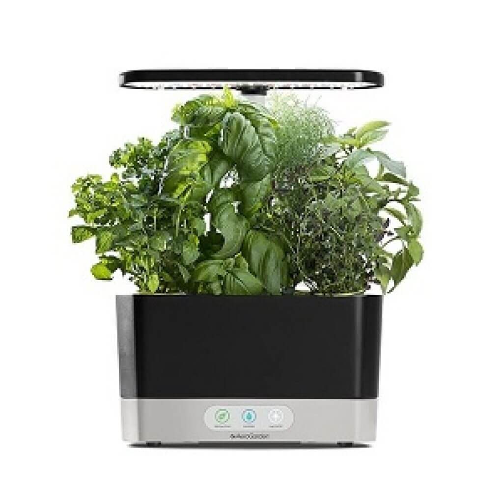 6 Best AeroGarden To Start Growing In Your Home : Updated 2023