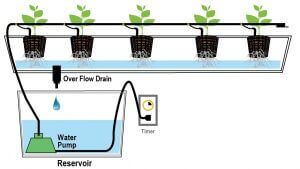 How to Keep Greenhouse Plants Watered When on Vacation